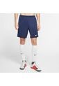 PANTALONETA NIKE HOMBRE BV6855-410 Talla XL de Nike