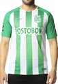 Camiseta Atlético Nacional Verde-Blanca Nike de Nike