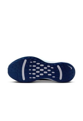 Tenis Hombre Nike Journey Run Gris
