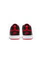 TENIS COURT BOROUGH LOW 2  NIKE de Nike