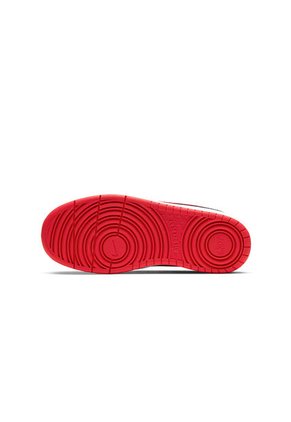 TENIS COURT BOROUGH LOW 2  NIKE