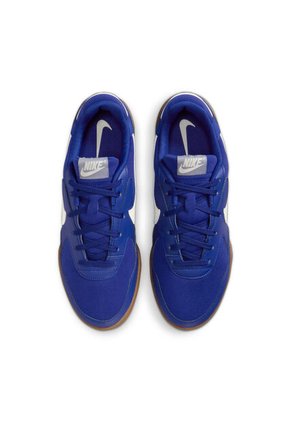 Tenis Hombre Lifestyle Nike Terra Manta Azul