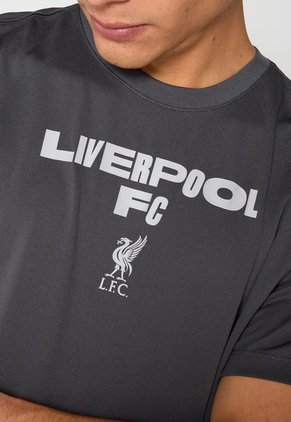 Camiseta Gris Oscuro-Gris Claro Nike Club América