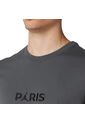 Camiseta Nike París Saint Germain-Gris de Nike