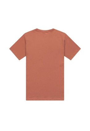 Camiseta Jordan Flight Essentials-Terracota