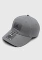 Gorra NIKE Jordan  Club Gris de Nike