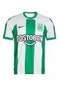 Camiseta Fútbol Niños Atlético Nacional Local 2023 de Nike