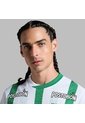 Camiseta Nike Hombre Atlético Nacional Local 25-Verde - Blanco - Fútbol | Uso Casual Y Entrenamiento de Nike