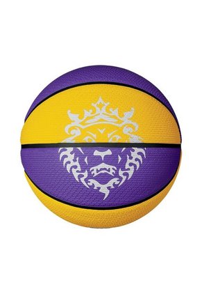 Balon Baloncesto Nike Playground Lebron James 8P-Multicolor
