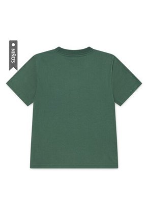 Camiseta Nike Nkb Snowboard Boxy Niño-Verde