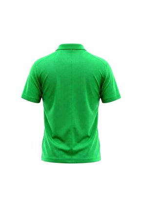 Camiseta Polo Nike Atletico Nacional VCTRY SLD Hombre-Verde