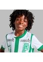 Camiseta Nike Niño Local Atletico Nacional - Fútbol | Uso Casual Y Entrenamiento - Fútbol | Uso Casual Y Entrenamiento de Nike