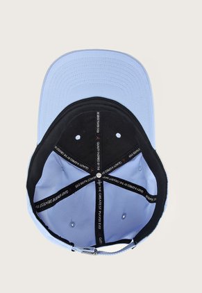 Gorra Celeste-Plateado Nike Jordan Rise