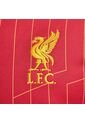 Camiseta Nike Hombre Liverpool FC Dri-Fit Ss Stad - Rojo de Nike