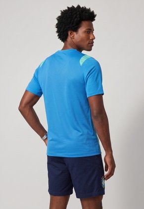 Camiseta NIKE Brasil Academy Pro Azul