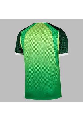 Camiseta Nike Nigeria Local 2026 Fan - Verde
