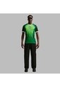 Camiseta Nike Nigeria Local 2026 Fan - Verde de Nike