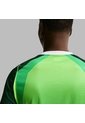 Camiseta Nike Nigeria Local 2026 Fan - Verde de Nike