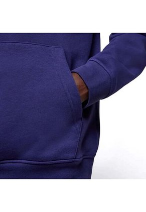 Hoodie Jordan Brand Ess Fleece Baseline-Purpura