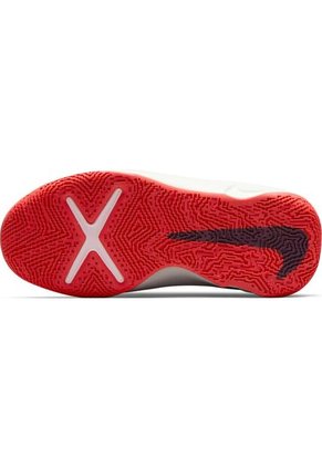 Tenis Niños Nike Team Hustle D 10 Gs