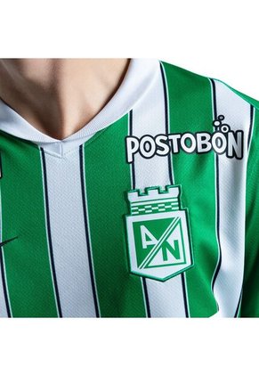 Camiseta De Futbol Nike Atlético Nacional Hombre-Verde