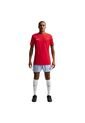 Camiseta Nike Df Park26 Ss Top Hombre-Rojo de Nike