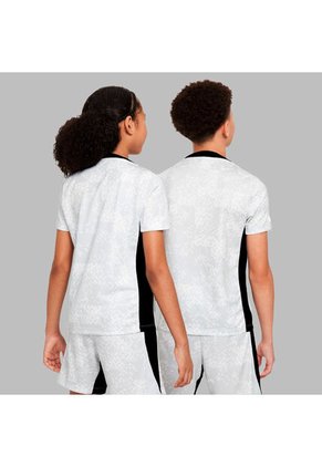 Camiseta Nike Kids Dri-Fit Academy Pro Ss Top Gx - Gris