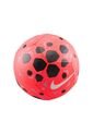 Balon Nike Pitch de Nike