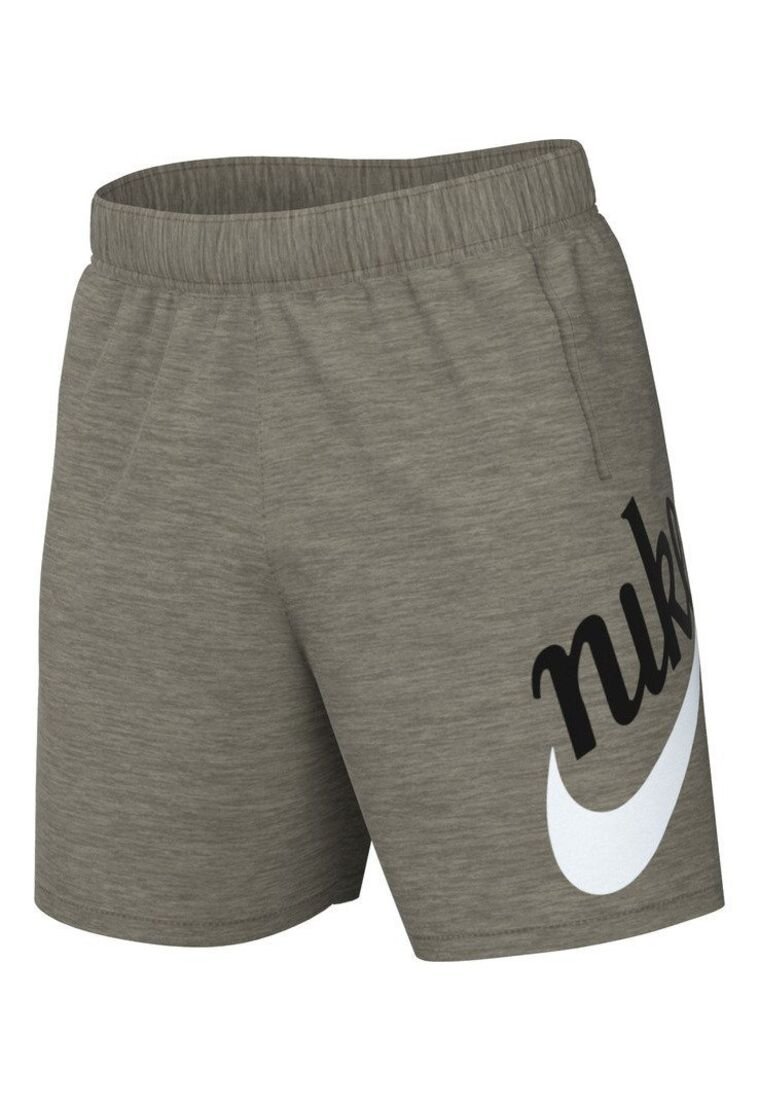 nike sb essential sunday shorts