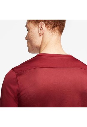 Camiseta Deportiva Hombre Nike Dryfit Park VII Jersey