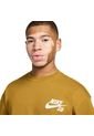 Camiseta Nike Sb T-Shirt-Marron de Nike