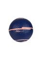 BALON FRANCE ACADEMY NIKE de Nike