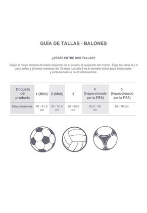 BALON INTER PITCH NIKE
