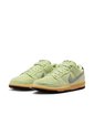Tenis Hombre Nike SB Dunk Low  Verde de Nike