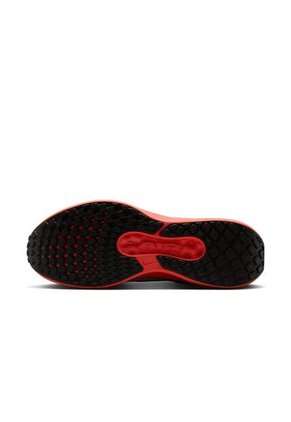 Tenis Hombre Running Nike Winflo 11