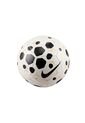 BALON SKILLS NIKE de Nike