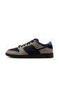 Tenis Hombre Nike SB Dunk Low X Dashawn Jordan Marrón de Nike