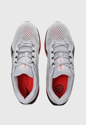 Tenis NIKE Winflo 11 Gris