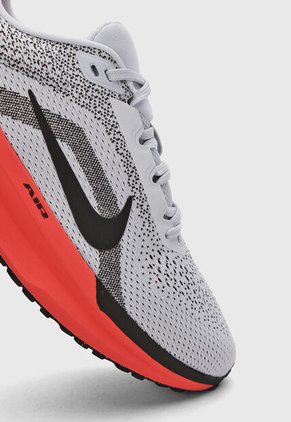 Tenis NIKE Winflo 11 Gris