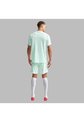 Camisetas Nike Hombre Francia Visitante Match - Verde