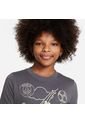 Camiseta Nike Kids Paris Saint-Germain U  Ss Air  - Gris de Nike