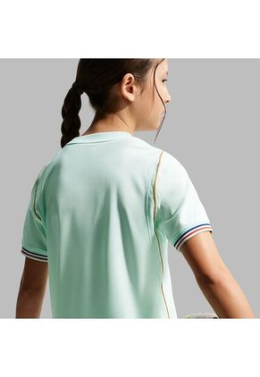 Camisetas Nike Niño Francia Visitante Stadium - Verde