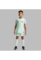 Camisetas Nike Niño Francia Visitante Stadium - Verde de Nike