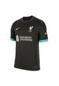 Camiseta Nike Hombre Liverpool FC M  Dri-Fit Jsy Ss Stad Aw - Negro-Verde de Nike