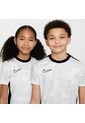 Camiseta Nike Kids Dri-Fit Academy Pro Ss Top Gx - Gris de Nike