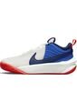 Tenis Niños Nike Team Hustle D 10 Gs de Nike
