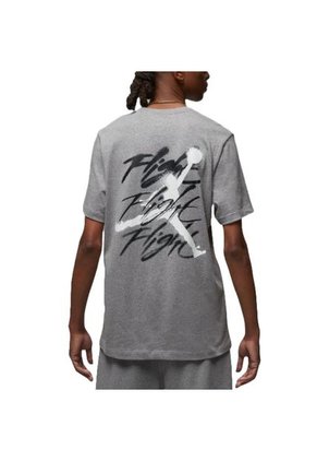 Camiseta Jordan Brand Gfx Ss Crew2-Gris