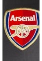 Camiseta Nike Anthracite Arsenal FC Gris-Morado de Nike