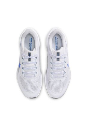 Tenis Hombre Nike Pegasus 41