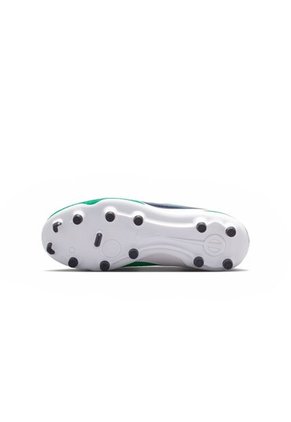GUAYOS LEGEND 10 ACADEMY LV8 NIKE